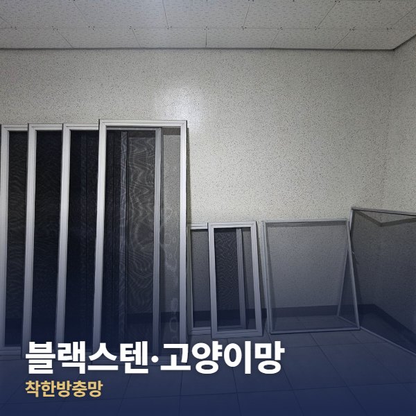 서초구 블랙스텐·고양이망